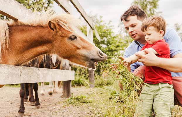 Agriturismi in Alto Adige