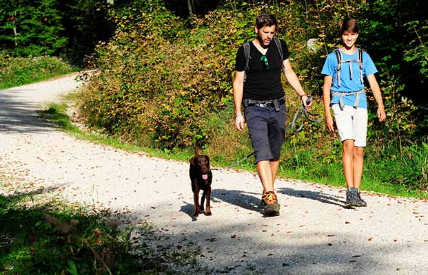 Escursioni con il cane