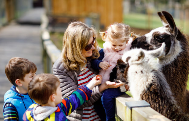 Una famiglia accarezza un animale da fattoria