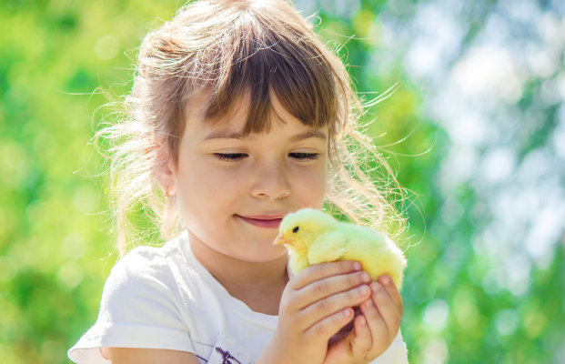 Bambina che tiene in mano un pulcino