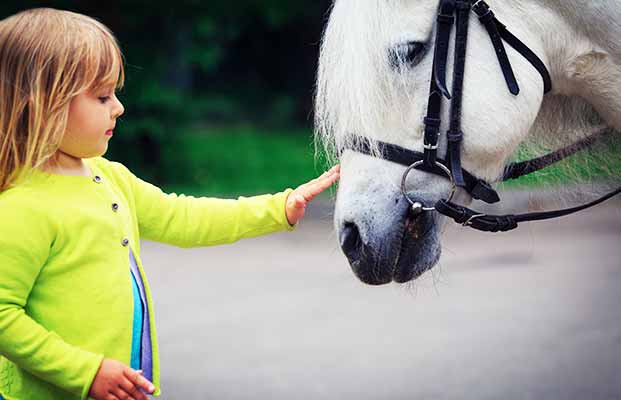 Bambino accarezza cavallo