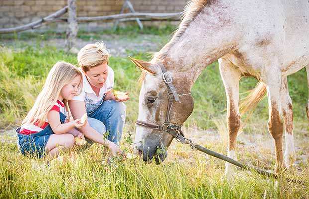 Madre e figlia danno da mangiare al cavallo