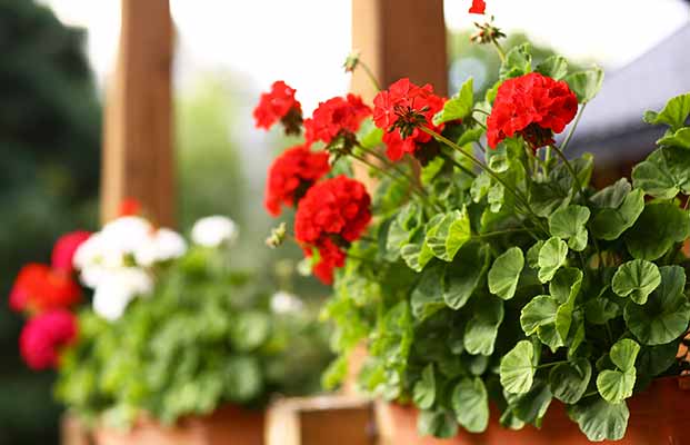 Le montagne dell'Alto Adige
