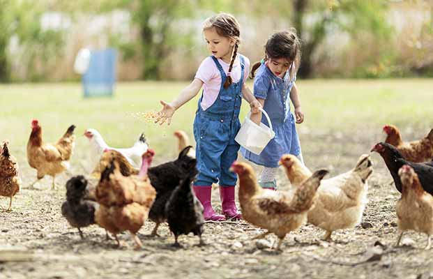 Agriturismo, attività & vita in famiglia