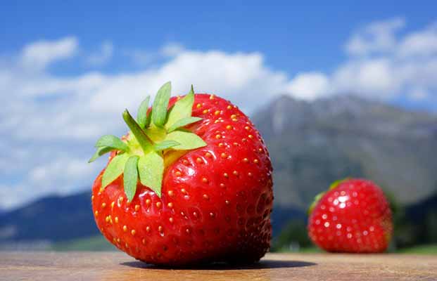 Festa delle fragole in Val Martello