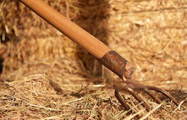 La festa “Heugabel” (forcone da fieno) a San Candido